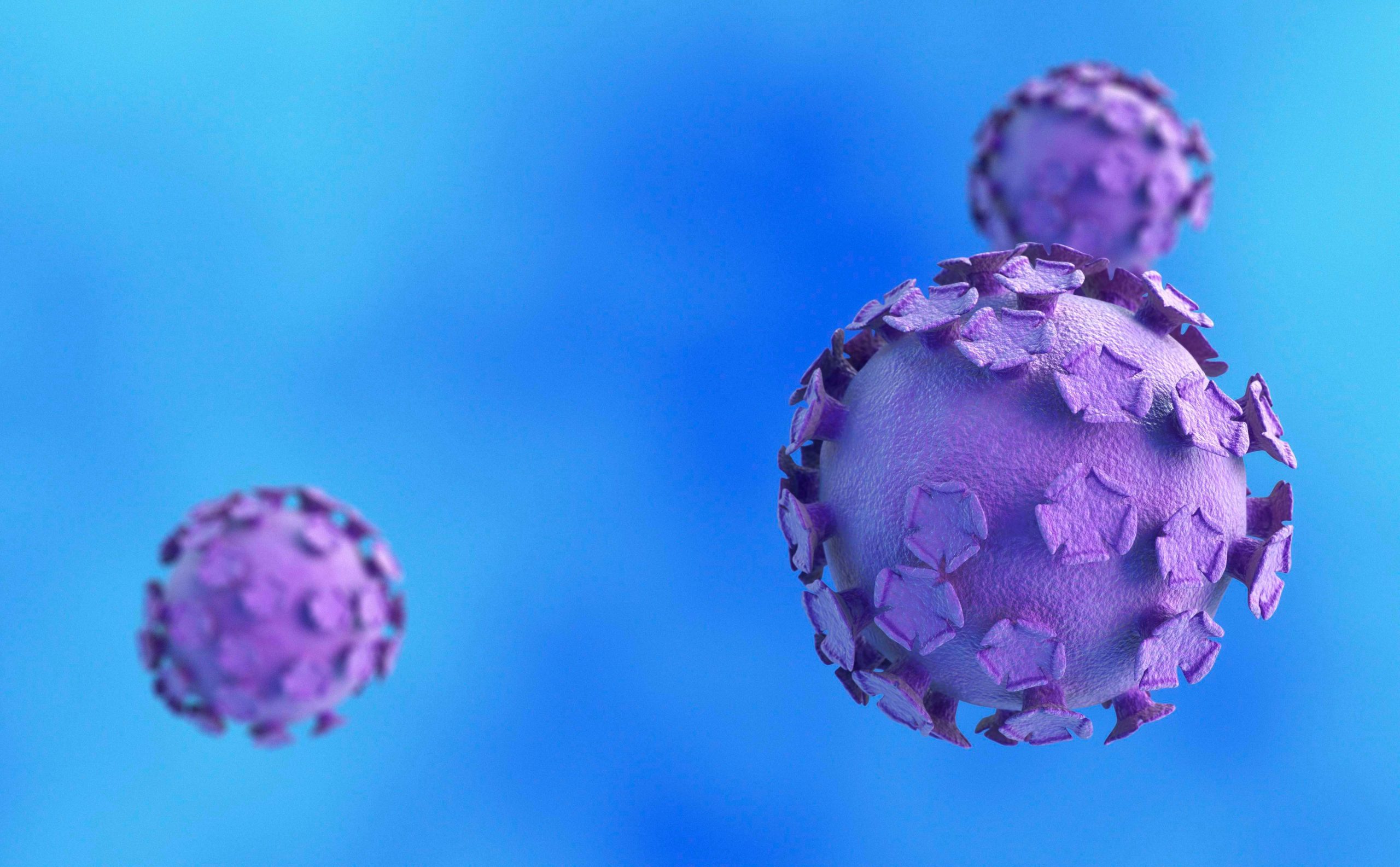 HPV 16